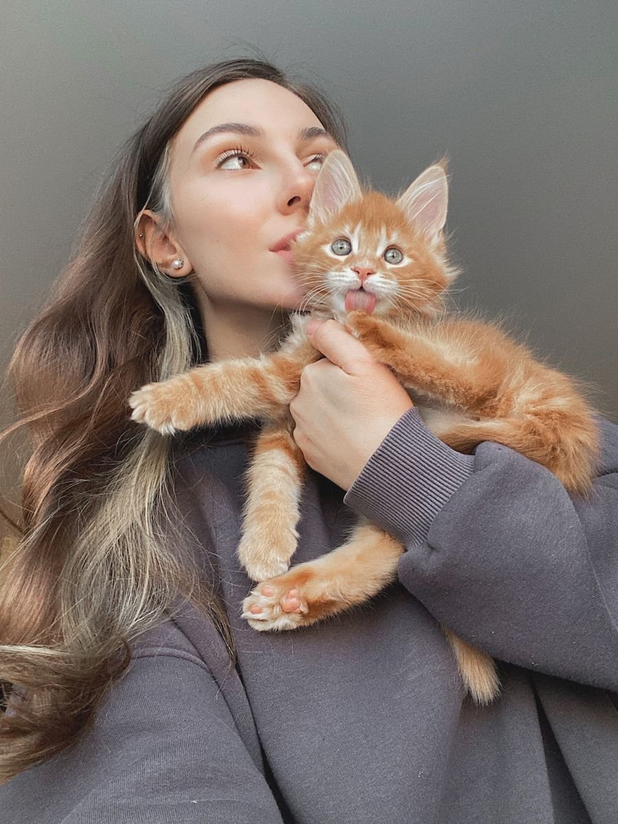 Nathan Edwards with his Siberian kitten