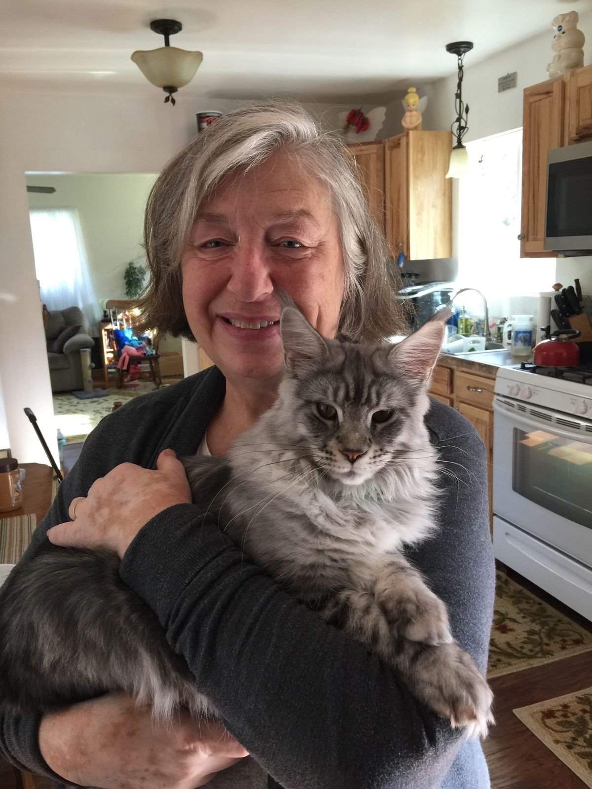 Hannah Collins with her Siberian kitten